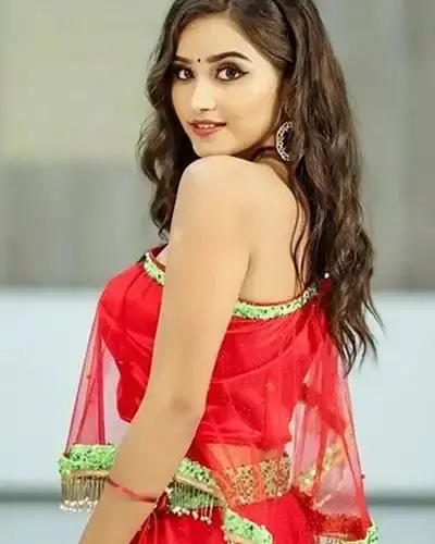 Escort In Ganganagar